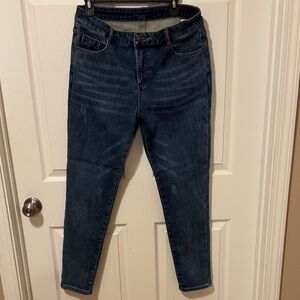 Fleece Lined  Indigo Skinny Jeans